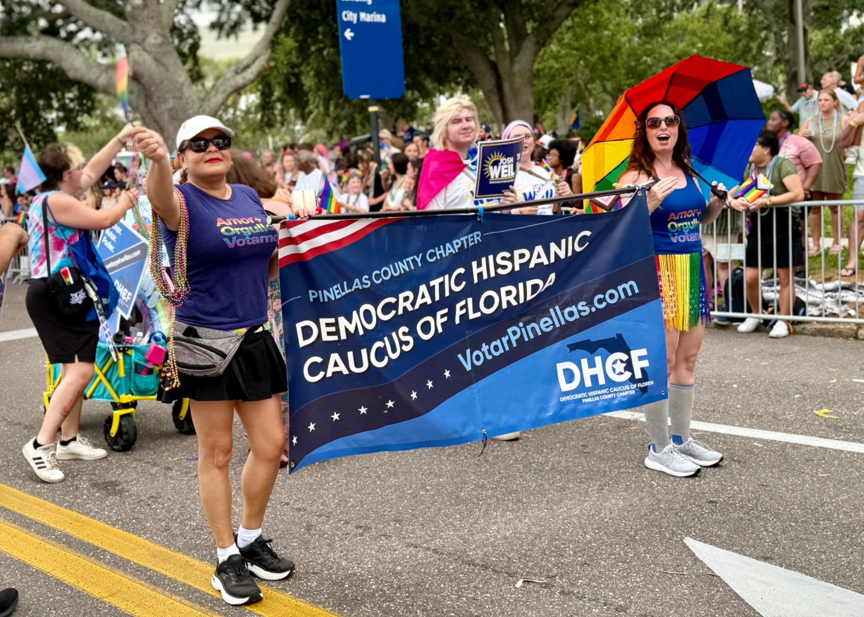 DCHF with other Dems at MLK Day parade 2025